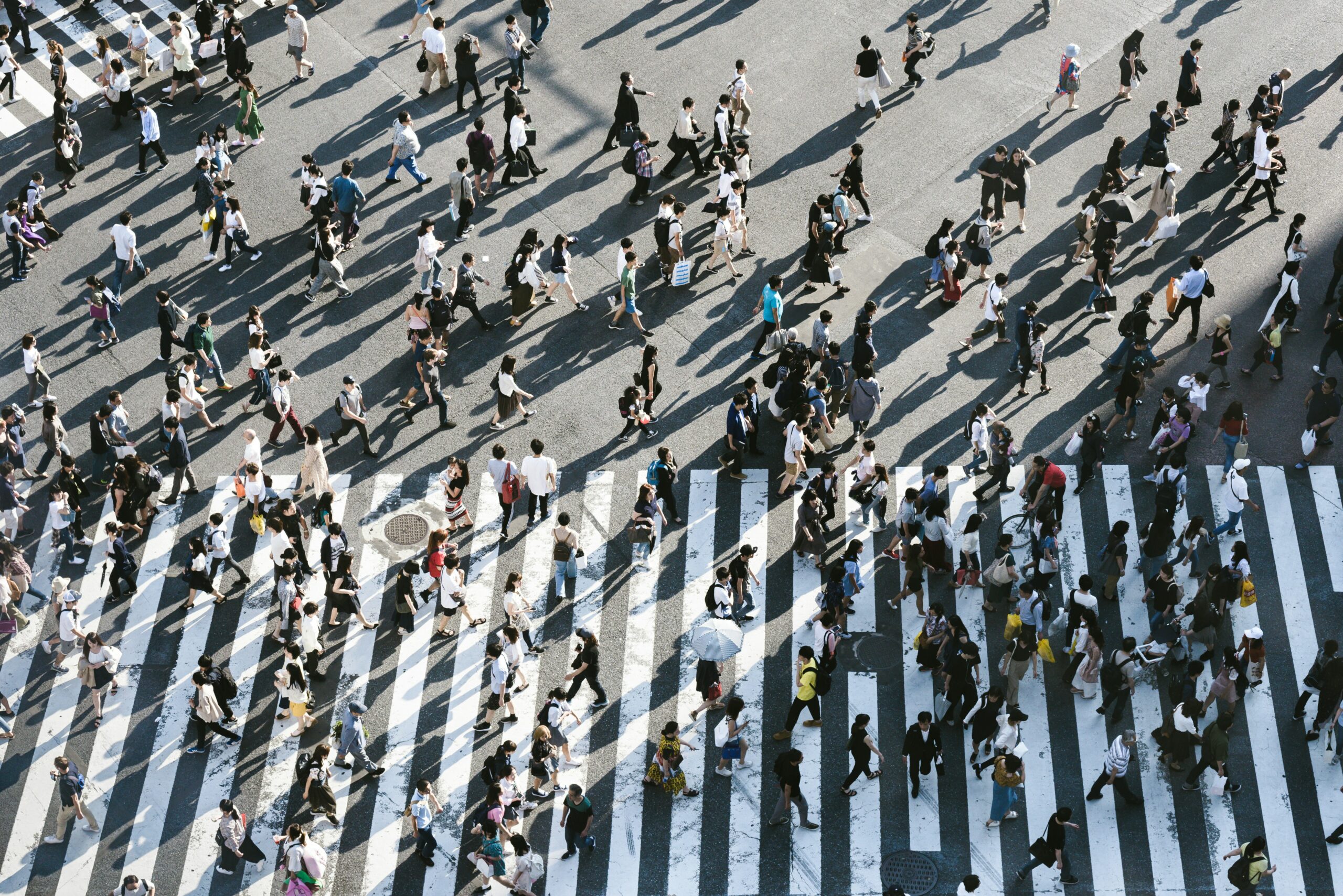 Traffic im Fokus: Nutzerverhalten verstehen und optimieren